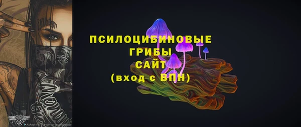 шишки Остров