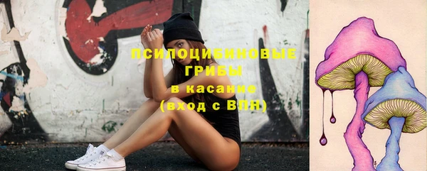 ГАЛЛЮЦИНОГЕННЫЕ ГРИБЫ Нягань
