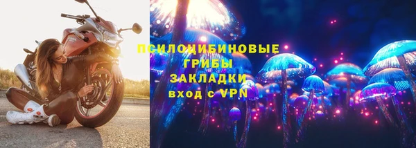 шишки Остров